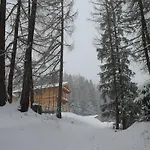 With Marvelous View